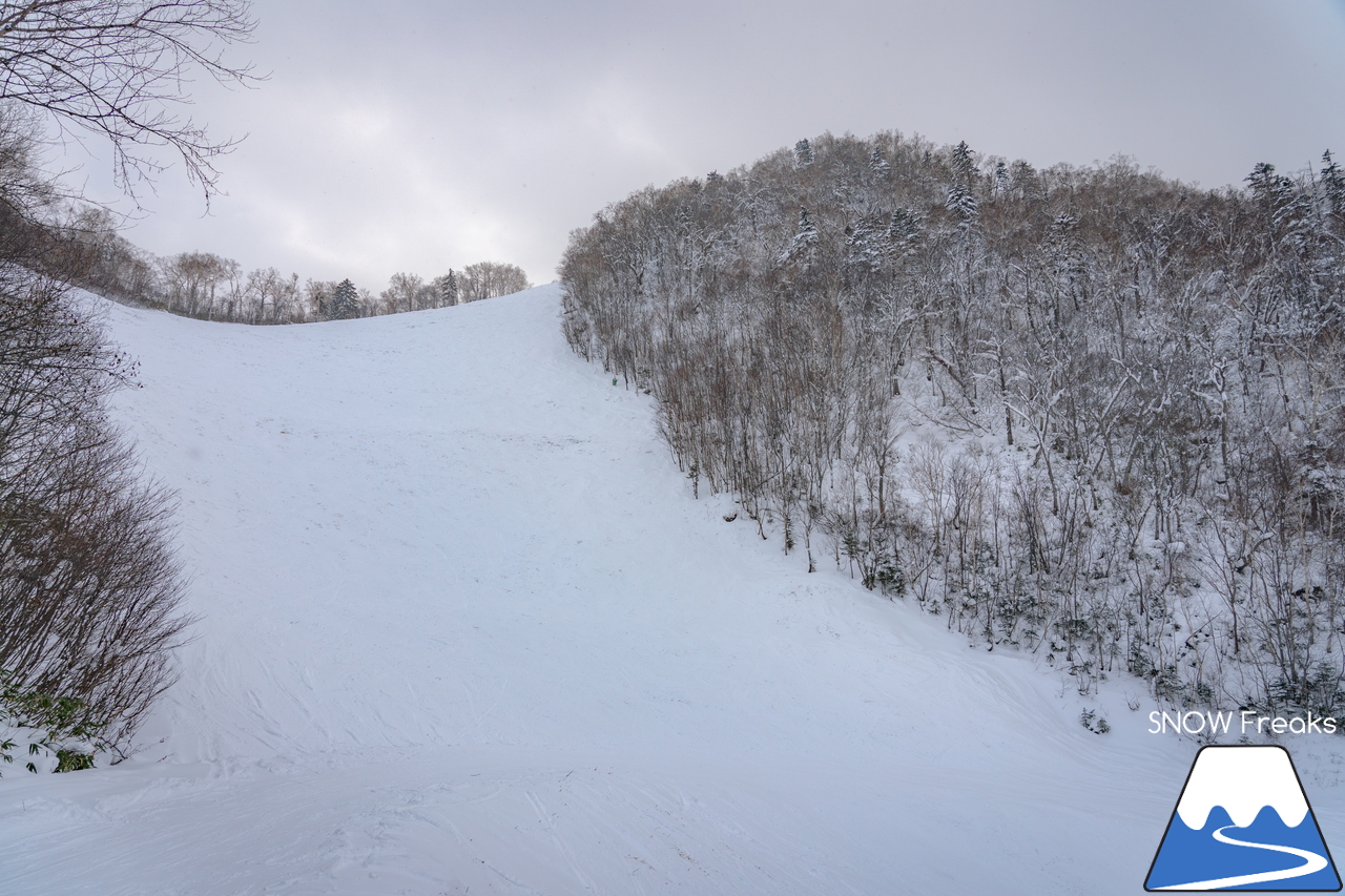 サッポロテイネ｜-10℃。雪質はパウダー。サミットエクスプレスに乗ってロング滑走を楽しみましょう！